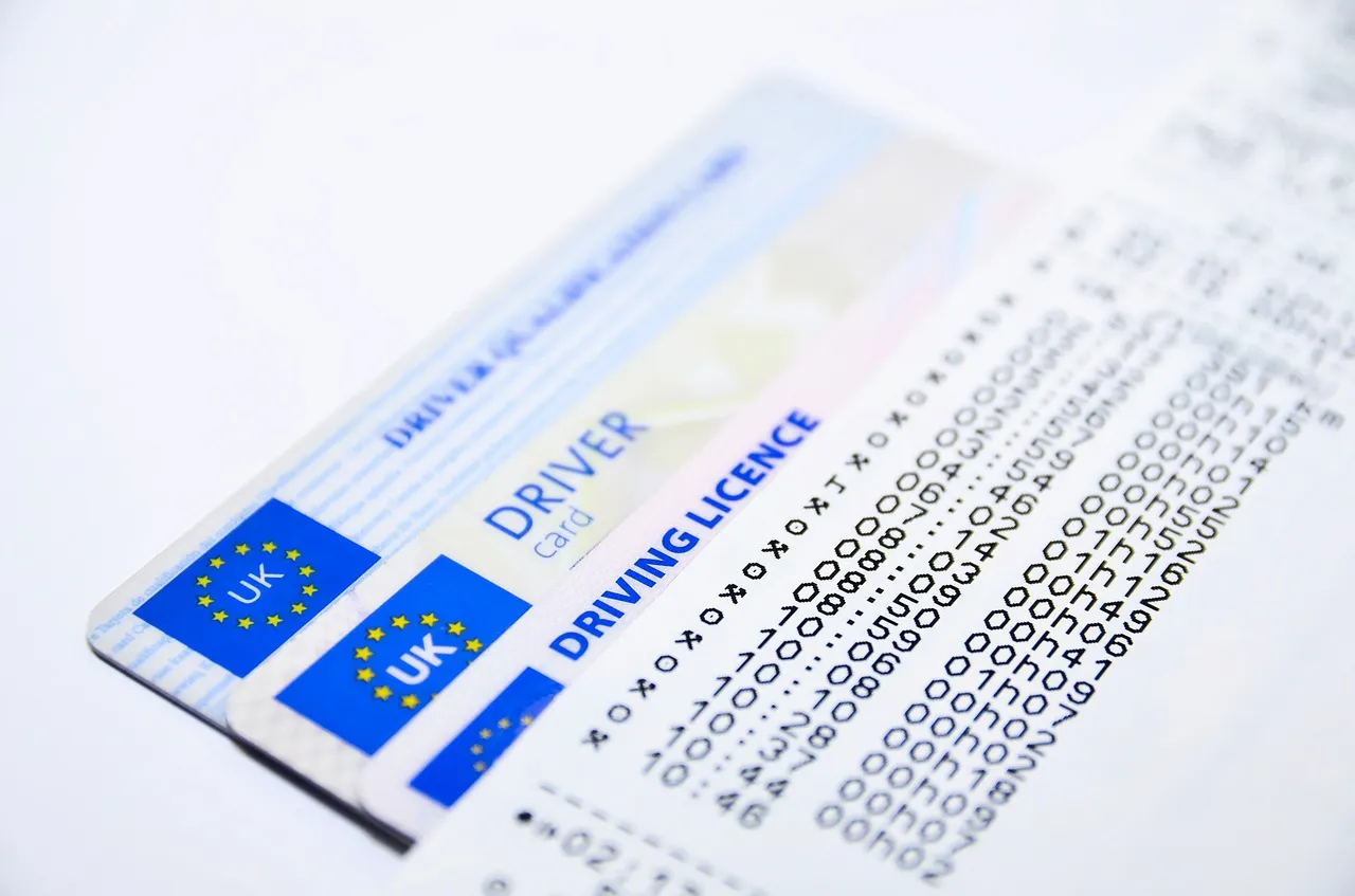 Kako izvaditi međunarodnu vozačku dozvolu