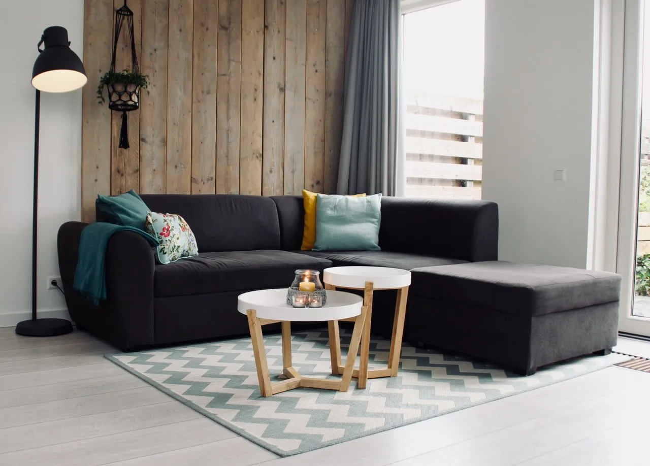Kako ukloniti buhe iz doma | Kako se riješiti buha s namještaja i saga