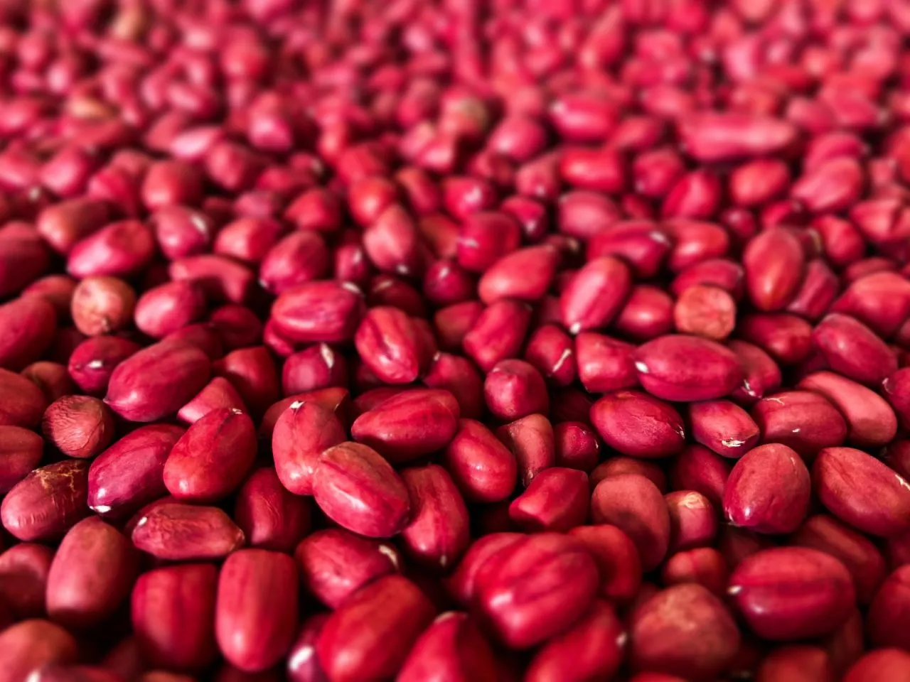 Zašto ubaciti crveni grah u svoj jelovnik | Nutritivna vrijednost crvenog graha