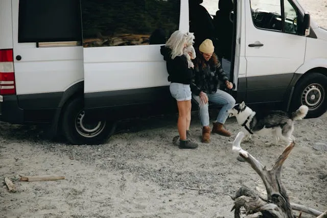 Kako putovati s kućnim ljubimcima | Putovanje s kućnim ljubimcima